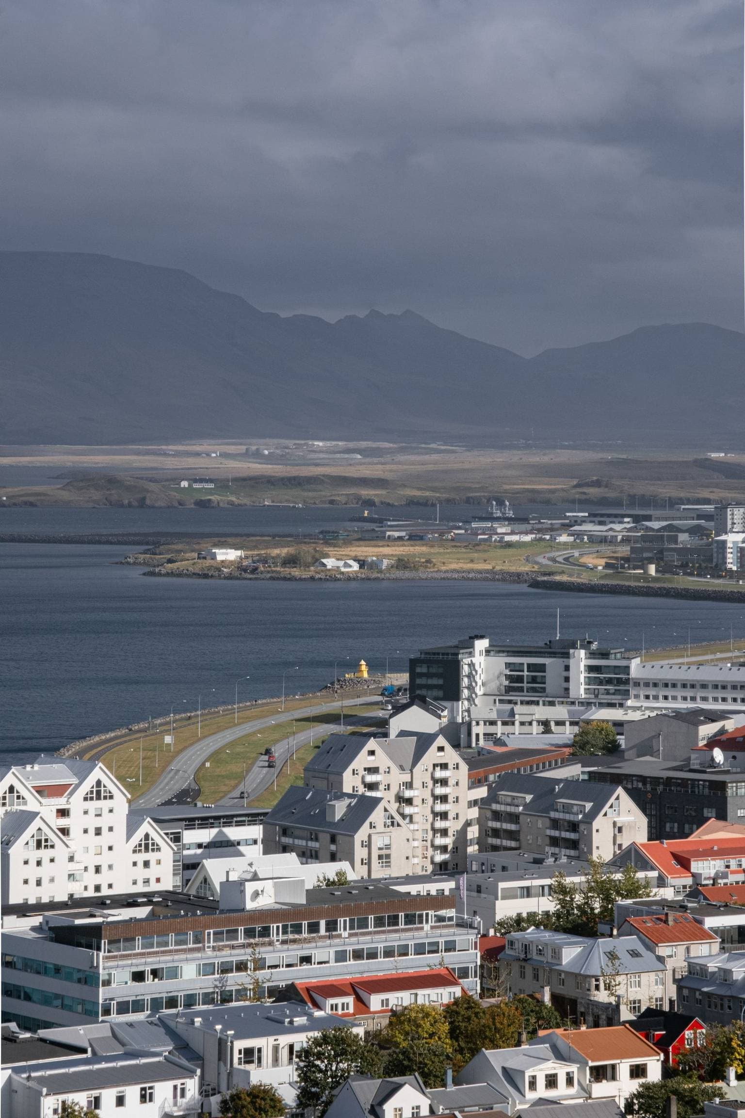 Colourful rooftops and the harbour of Reykjavík on a clear day