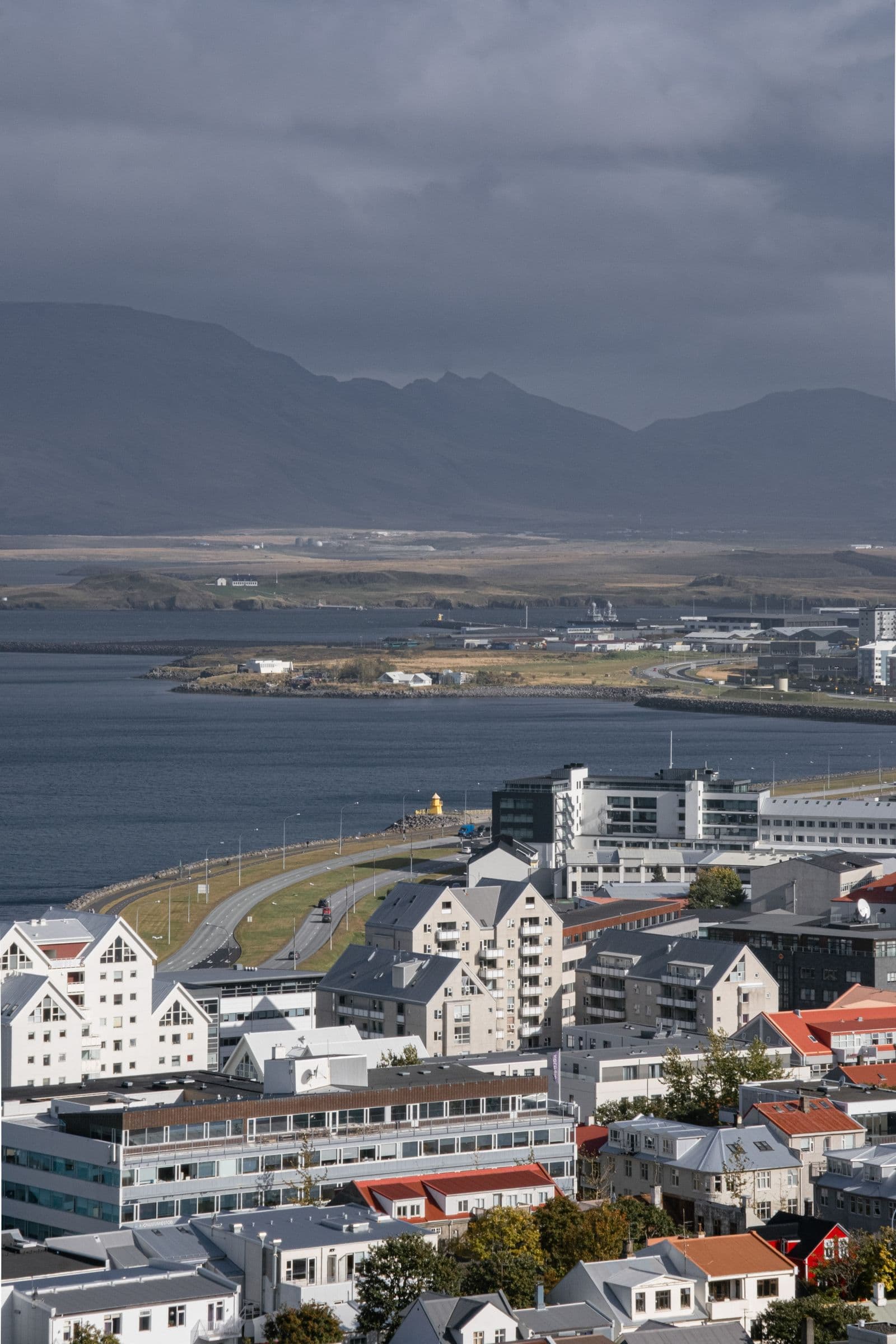 Colourful rooftops and the harbour of Reykjavík on a clear day